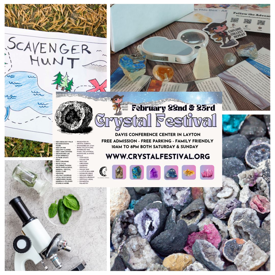 Crystal Festival - Layton
