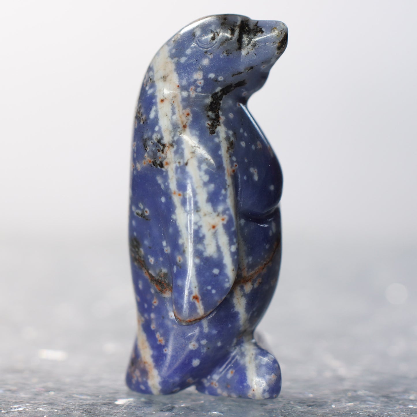 Sodalite Penguin - 2.4” Carving