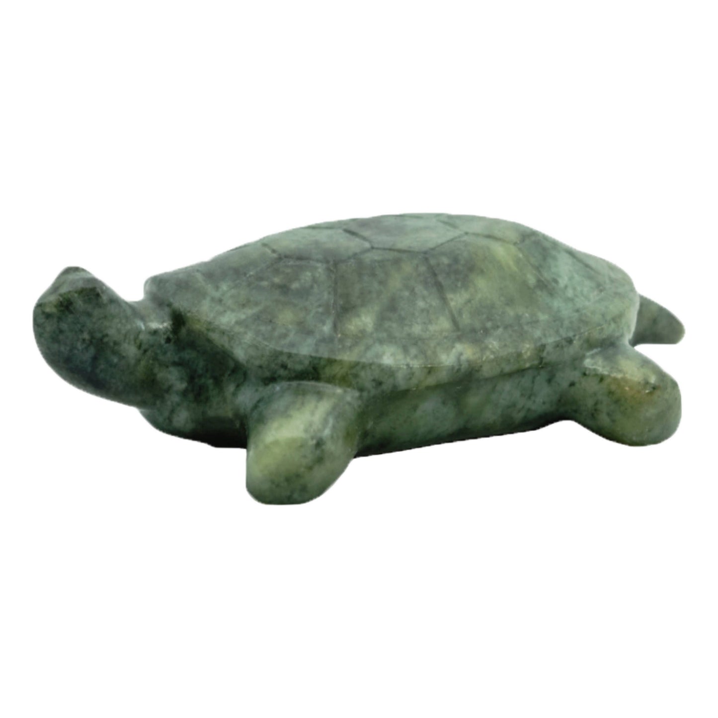 Turtle Soapstone Carving & Whittling—DIY Arts and Craft Kit. All Kid-Safe Tools and Materials Included. For kids and adults 8 to 99+ Years.