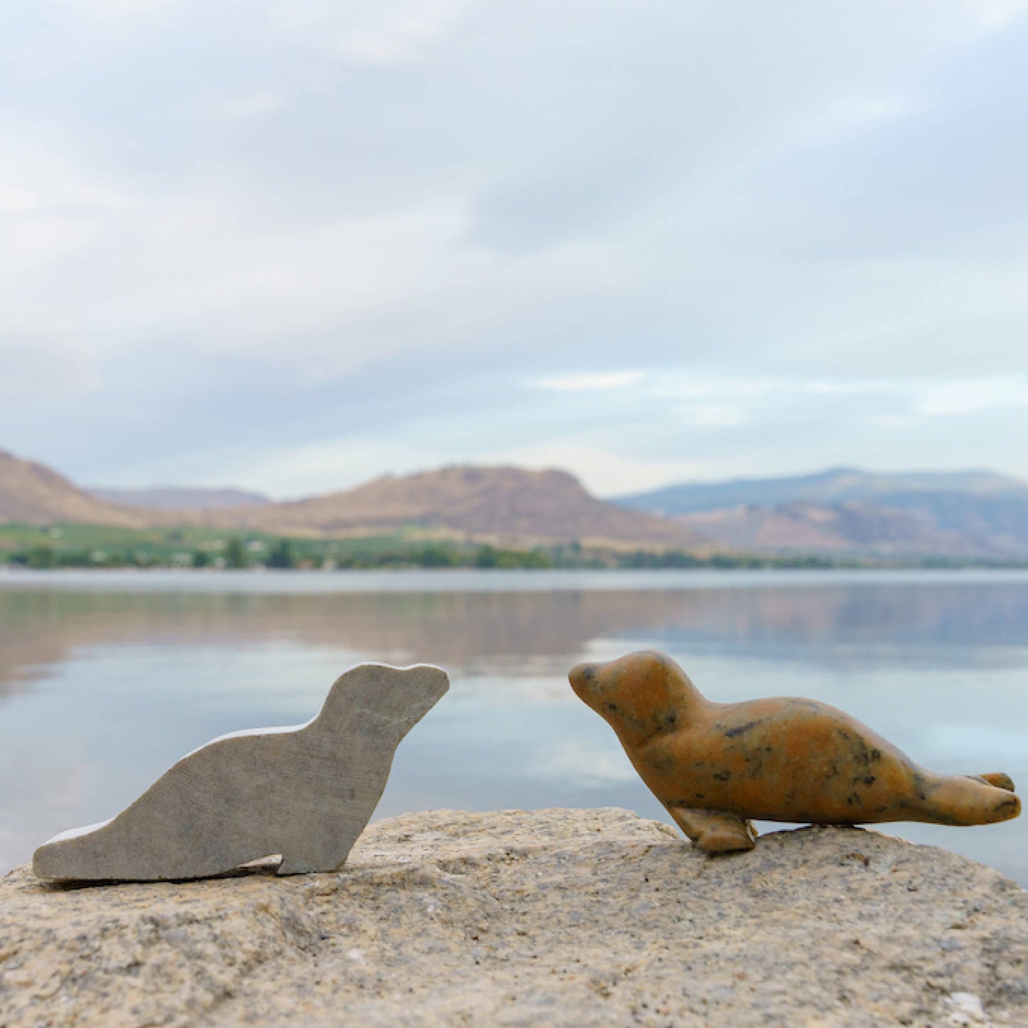 Seal Soapstone Carving and Whittling—DIY Arts and Craft Kit. All Kid-Safe Tools and Materials Included. For kids and adults 8 to 99+ Years.