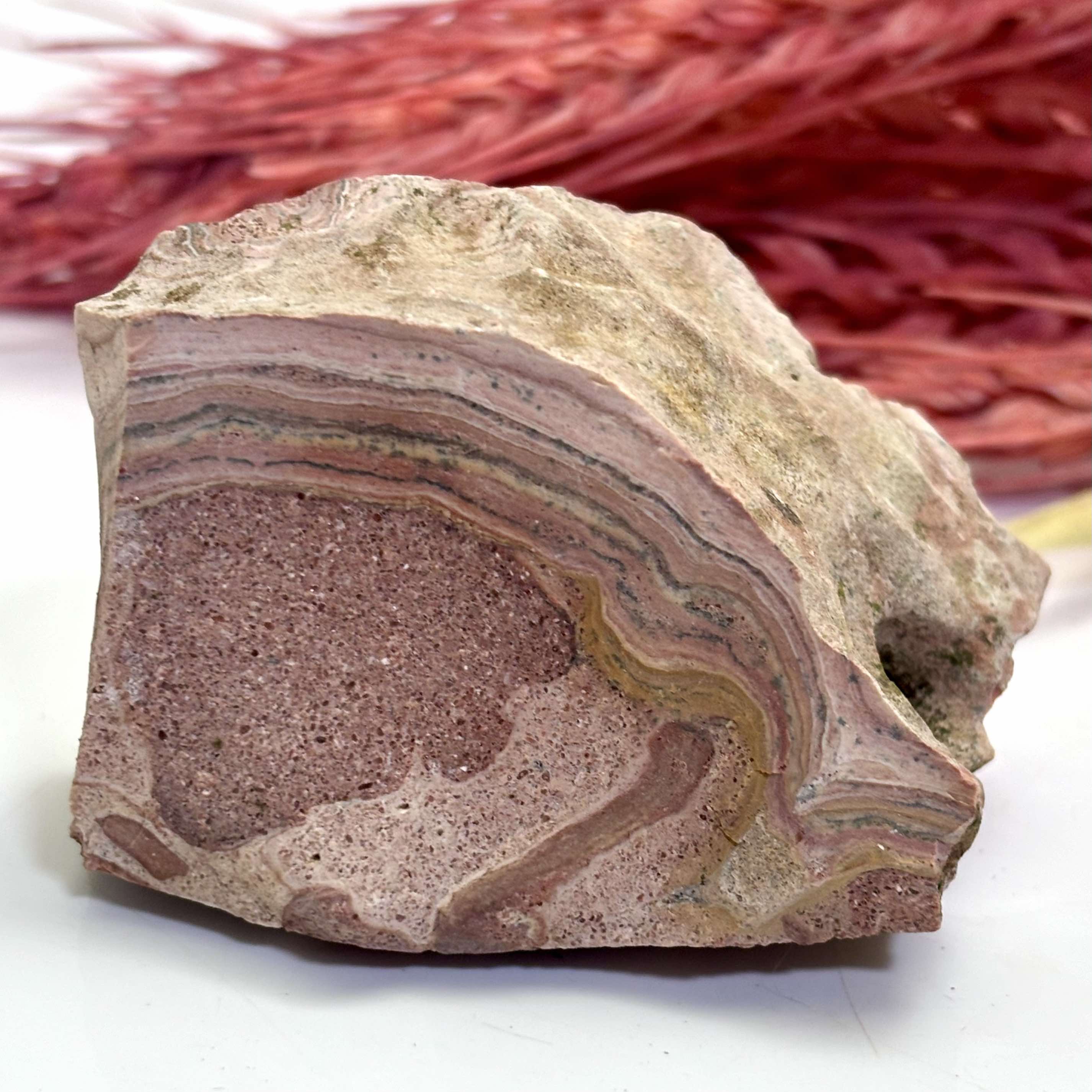 Orbicular Rhyolite Aka: Bird's Eye - Rough Rock – CrystalBarista