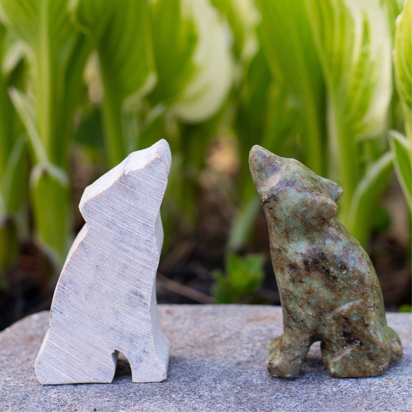 Wolf Soapstone Carving and Whittling—DIY Arts and Craft Kit. All Kid-Safe Tools and Materials Included. For kids and adults 8 to 99+ Years.