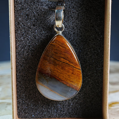 Petrified Wood with Rainbow Iris Agate - Pendant