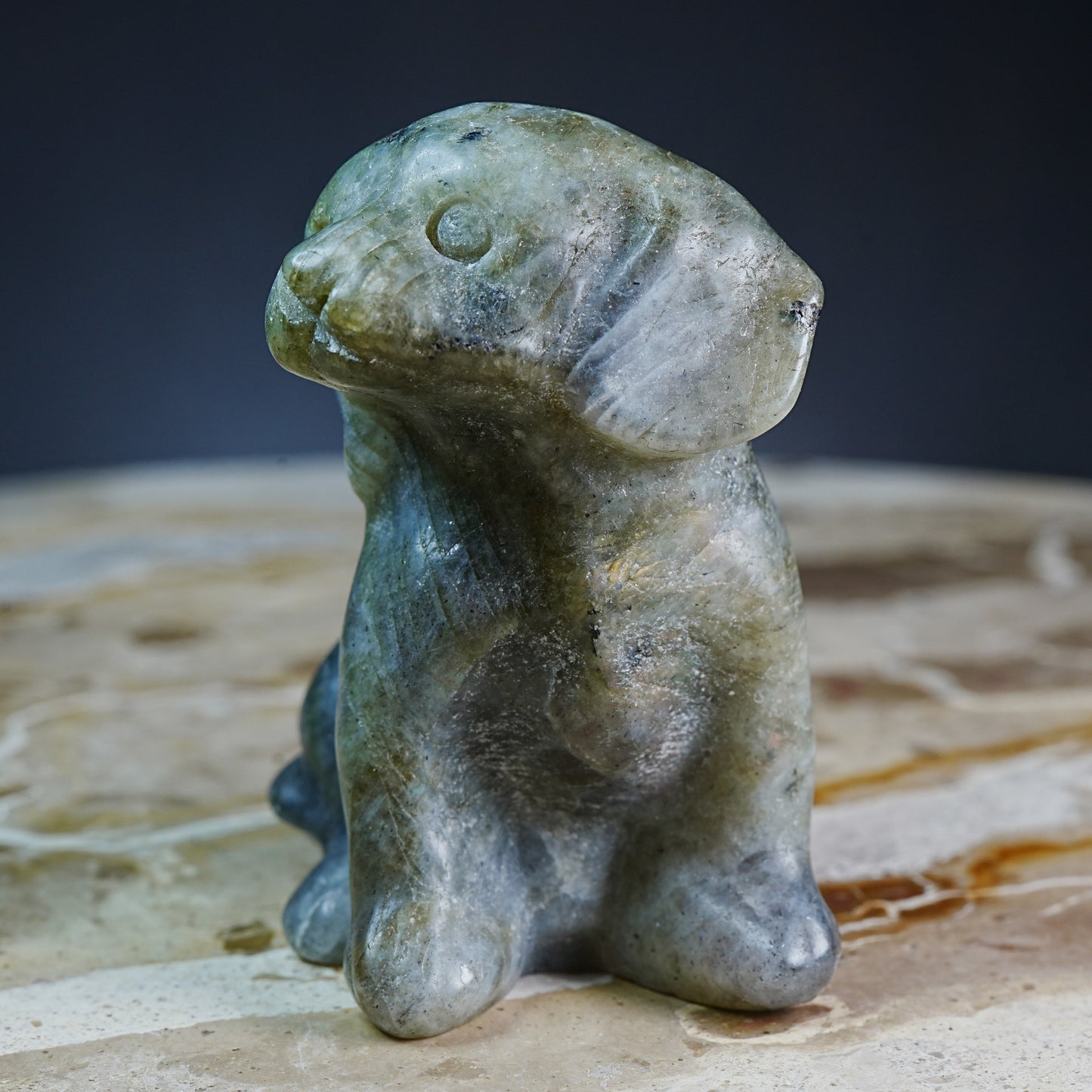 Labradorite Doggy - Carving