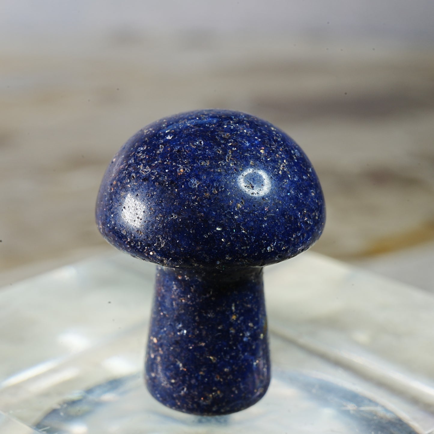 Blue Goldstone Mushroom - Carving