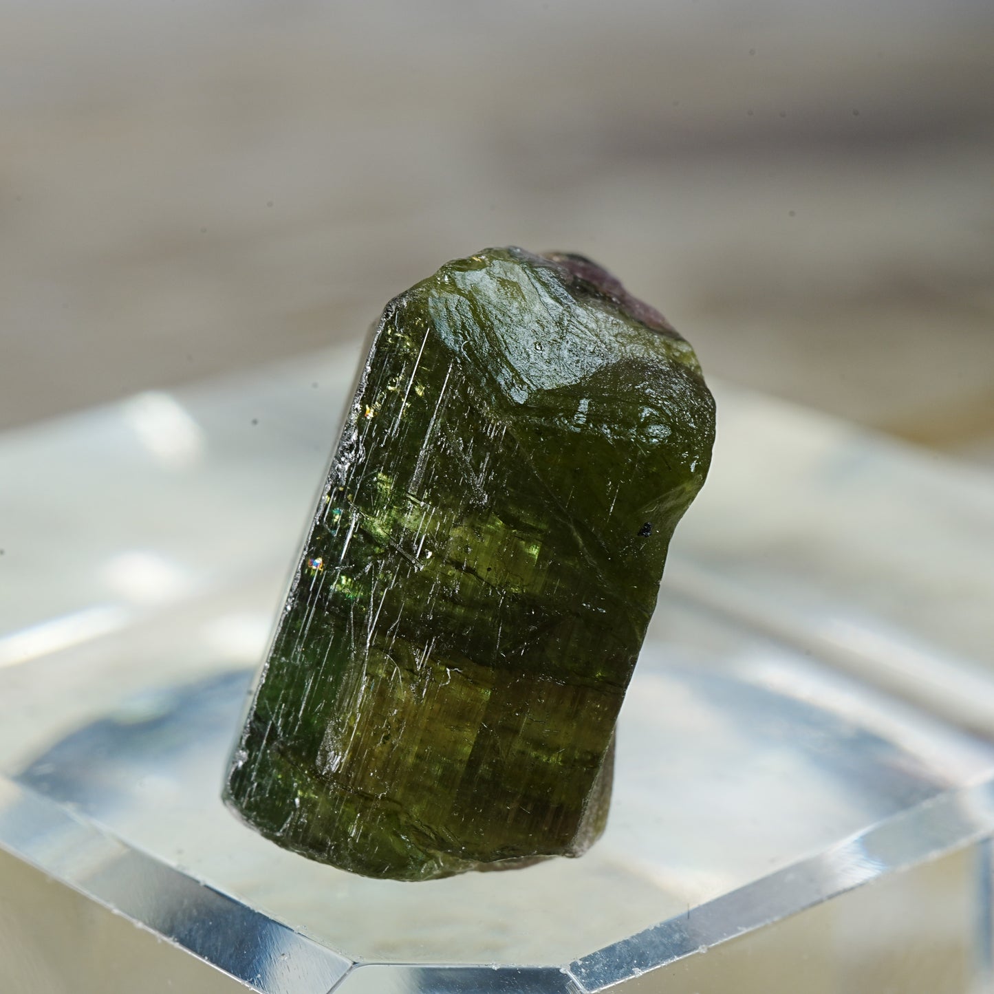 Watermelon Tourmaline - Mineral Specimen