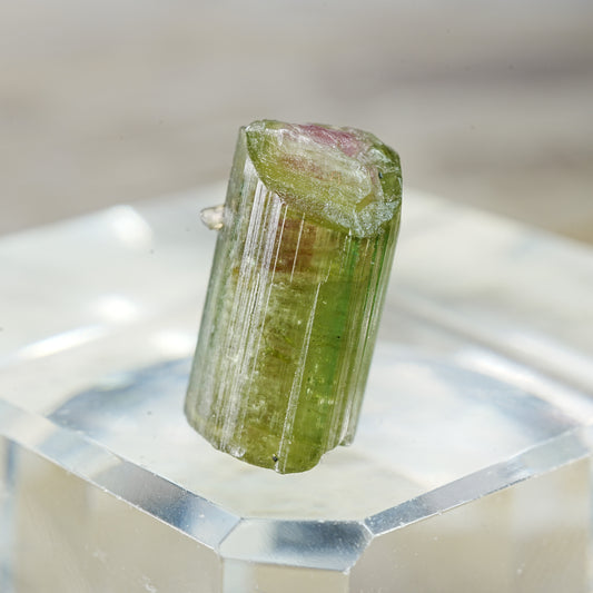 Watermelon Tourmaline - Mineral Specimen