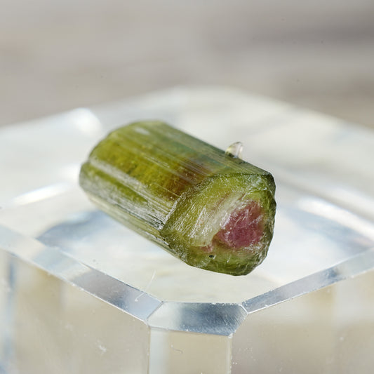 Watermelon Tourmaline - Mineral Specimen