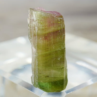 Watermelon Tourmaline - Mineral Specimen