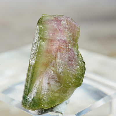 Watermelon Tourmaline - Mineral Specimen
