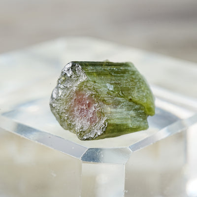 Watermelon Tourmaline - Mineral Specimen
