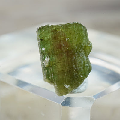 Watermelon Tourmaline - Mineral Specimen