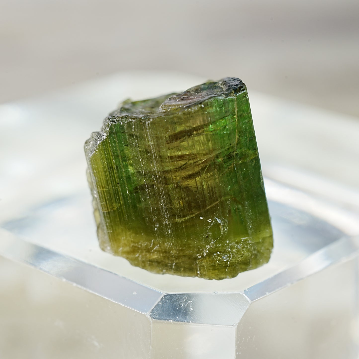 Velvet Green Cap Watermelon Tourmaline - Mineral Specimen