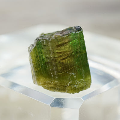 Velvet Green Cap Watermelon Tourmaline - Mineral Specimen