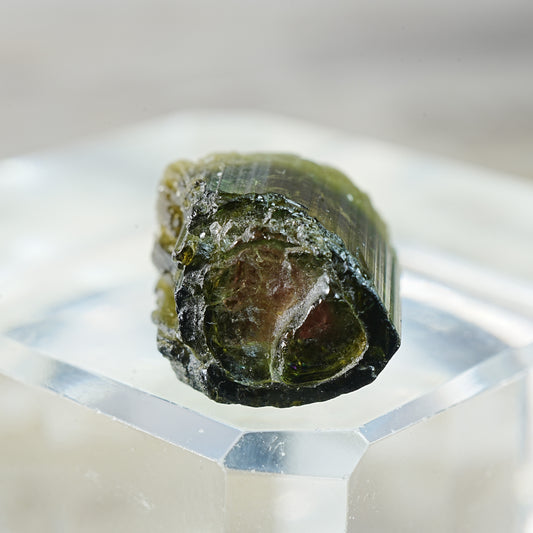 Velvet Green Cap Watermelon Tourmaline - Mineral Specimen