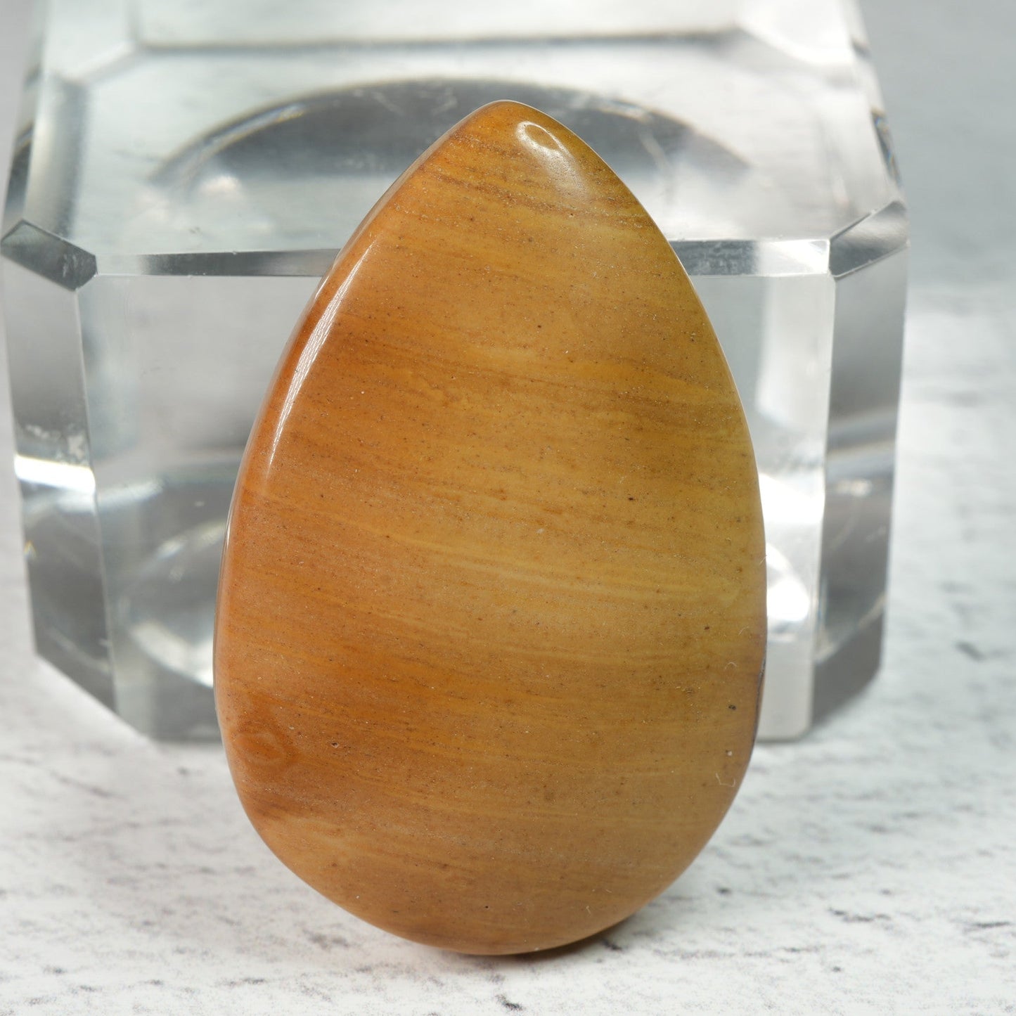 Spiny Oyster Jasper - Cabochon