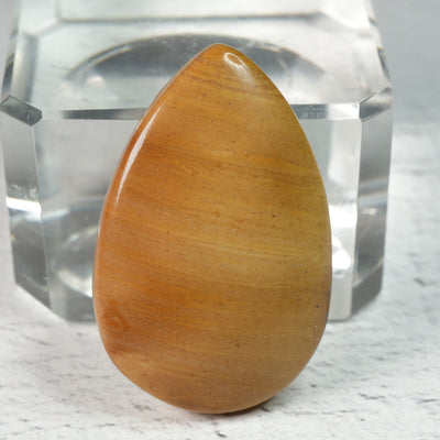 Spiny Oyster Jasper - Cabochon