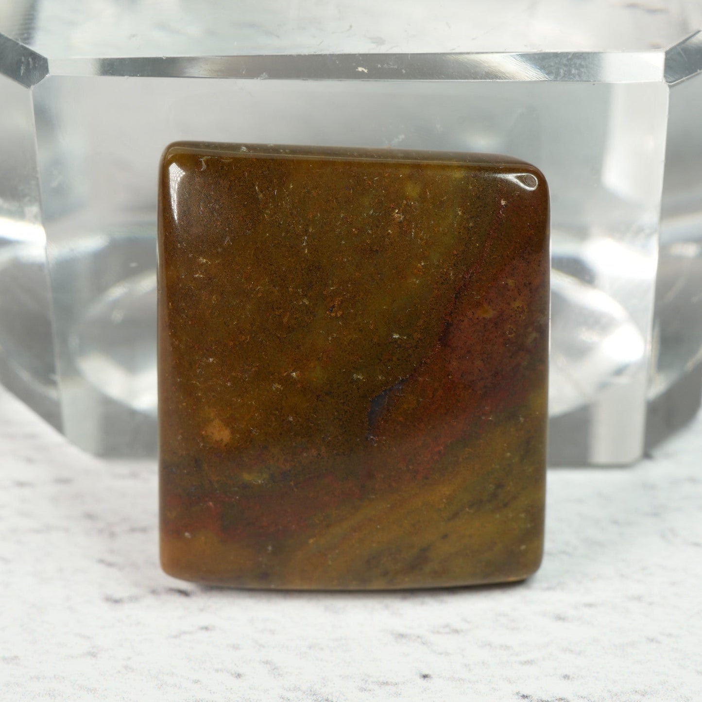 Petrified Wood - Cabochon