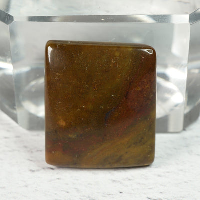 Petrified Wood - Cabochon