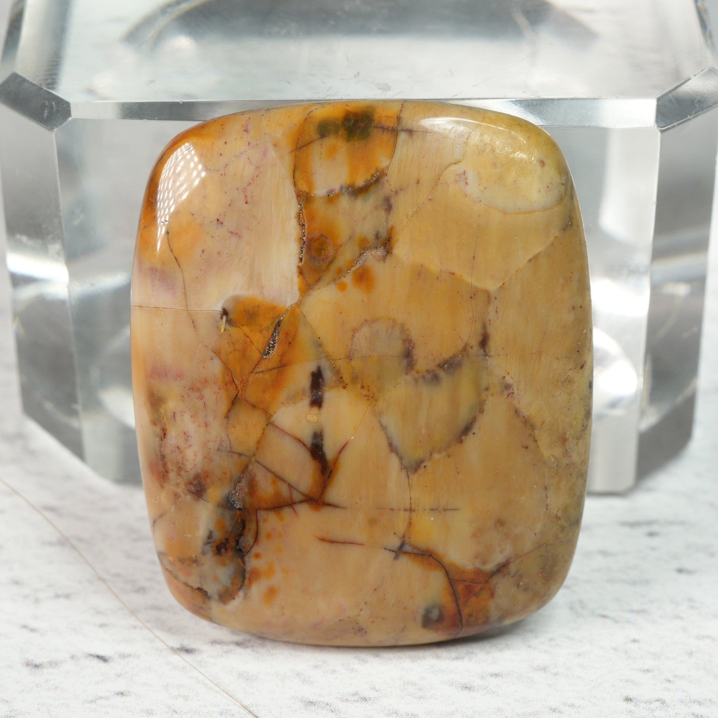 Petrified Wood - Cabochon