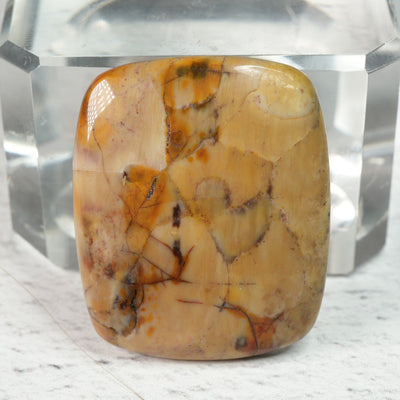 Petrified Wood - Cabochon