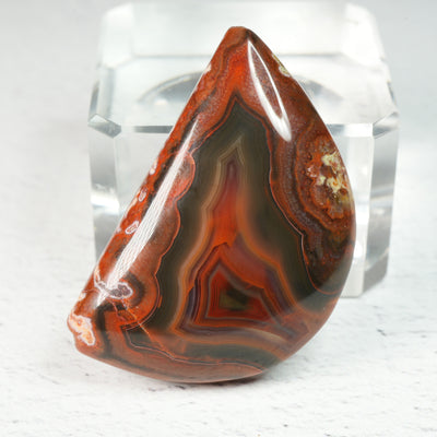 Moroccan Red Agate - Cabochon
