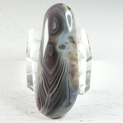 Botswana Agate • Cabochon