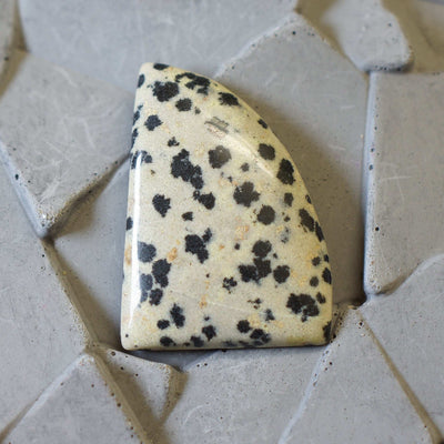 Dalmatian Jasper - Cabochon