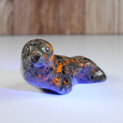 Sodalite Syenite Seal - Carving *UV*