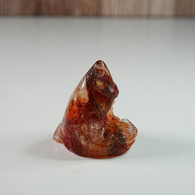 Fire Quartz Sharks Mouth - Carving