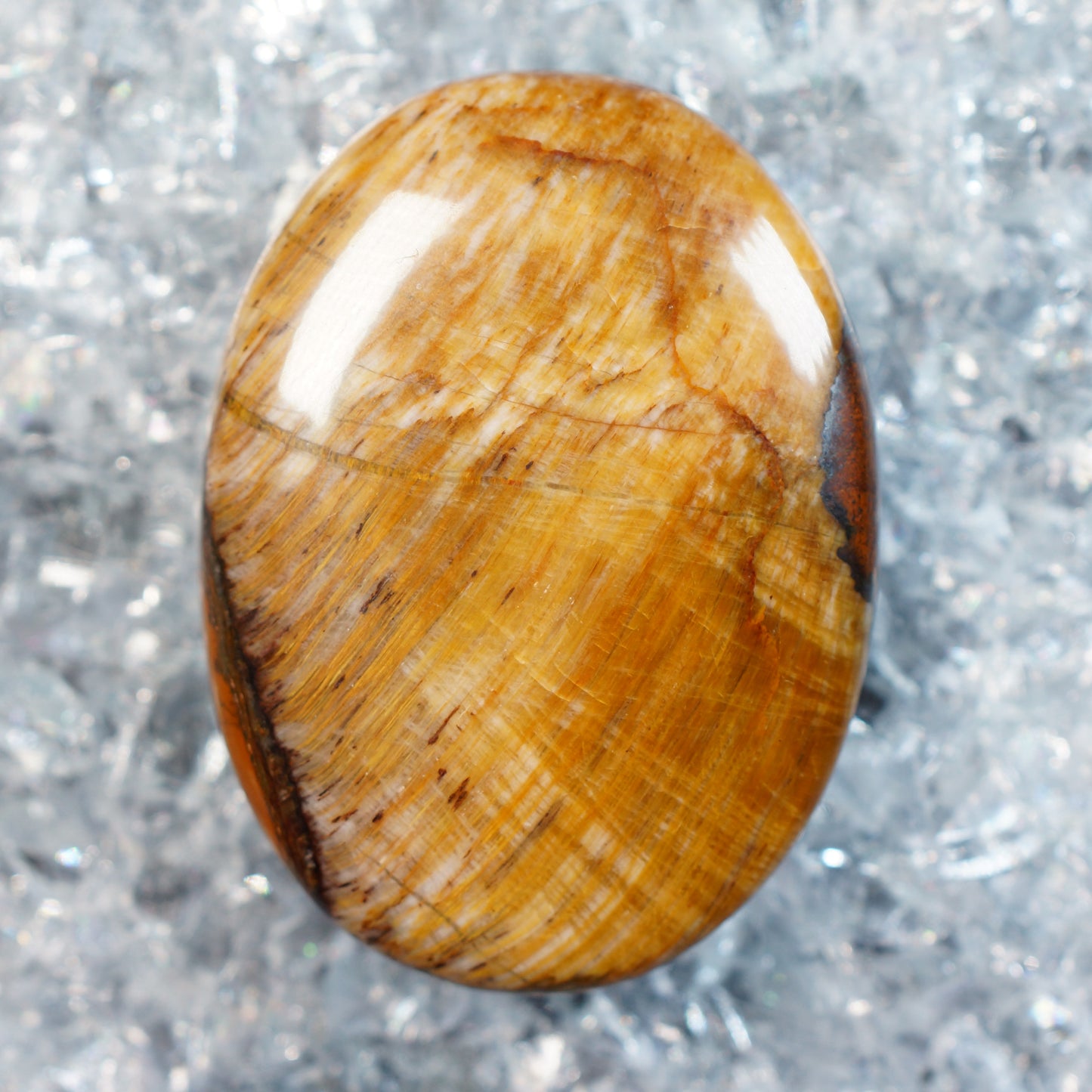 Petrified Wood - Cabochon