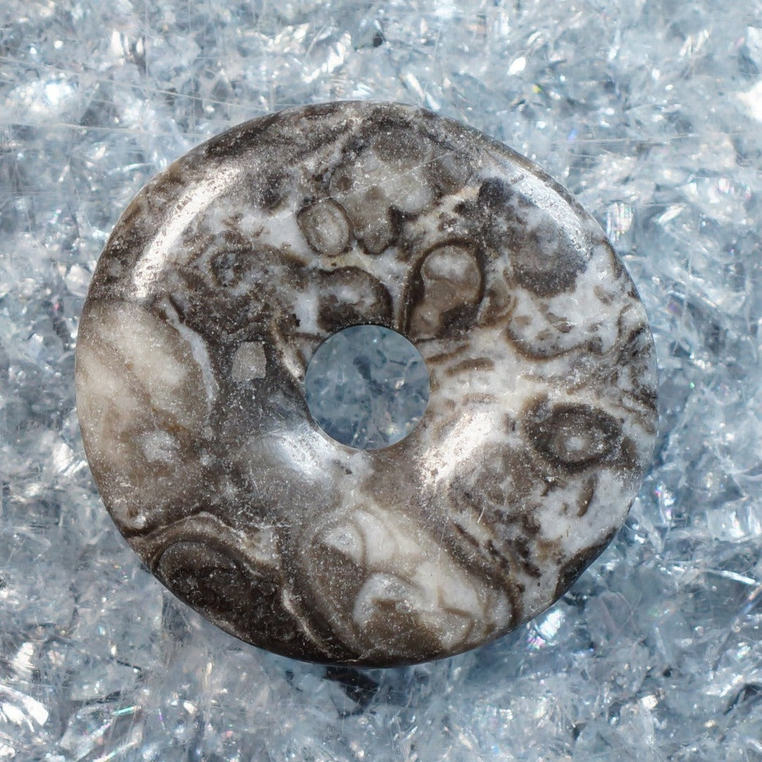 Fossil Jasper Donut