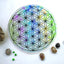 Sacred Geometry: Crystal Grid - Sticker