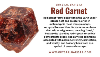 Garnet in Matrix Doggy - Carging