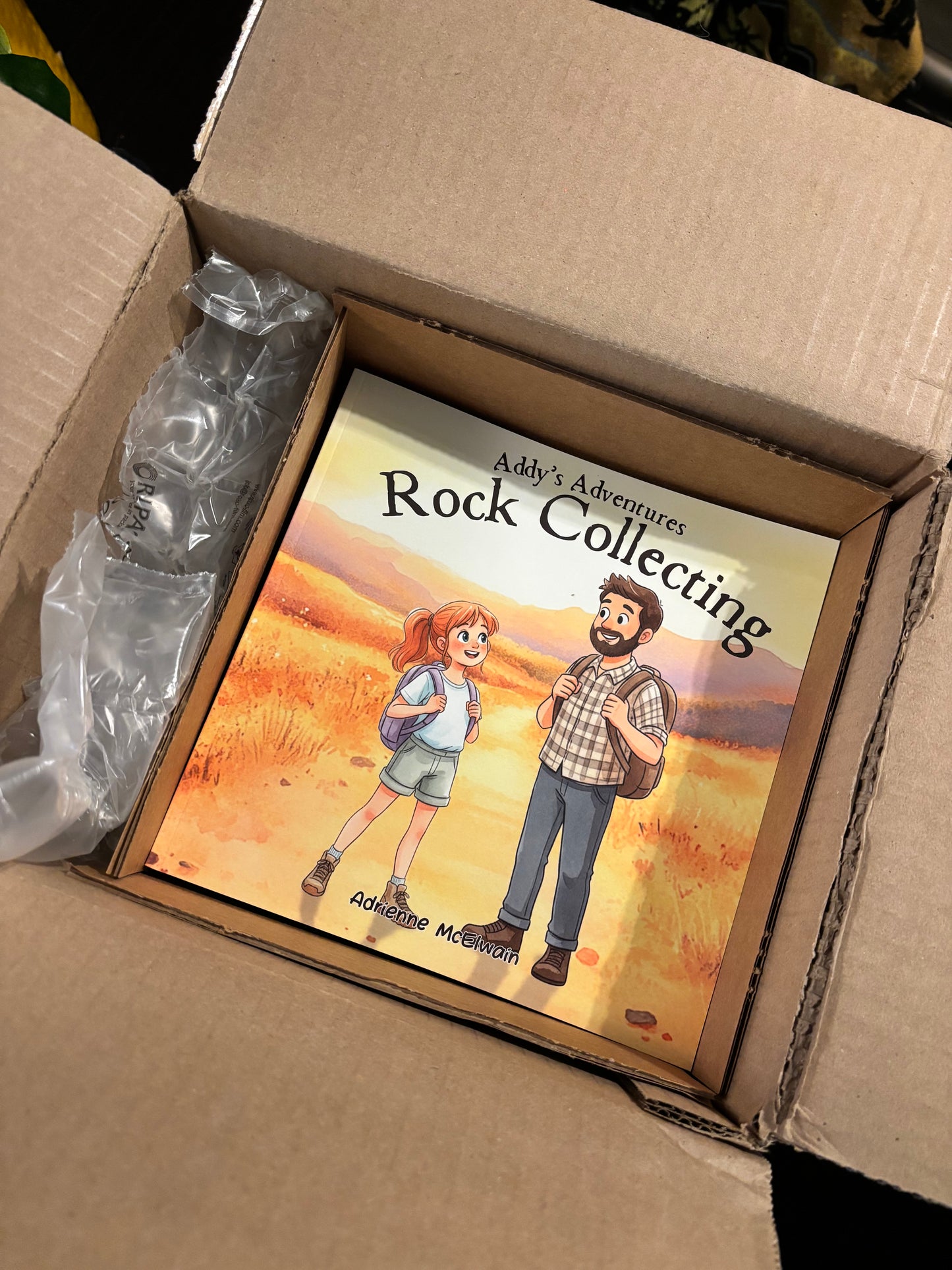 Addy's Adventures Rock Collecting- Book #1