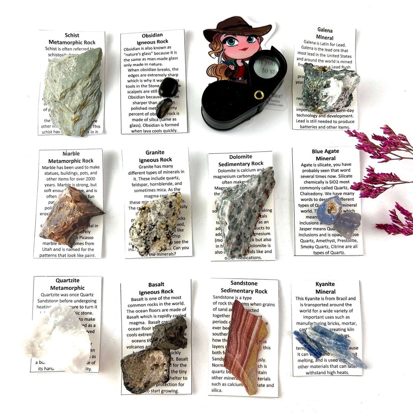 Rock & Mineral Set - School & Homeschool Geology Series