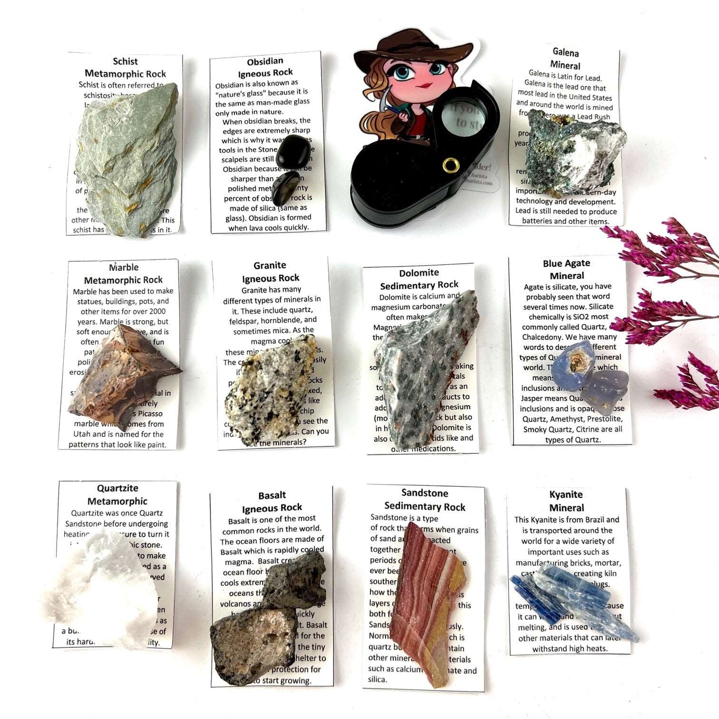 Rock & Mineral Set - School & Homeschool Geology Series – CrystalBarista