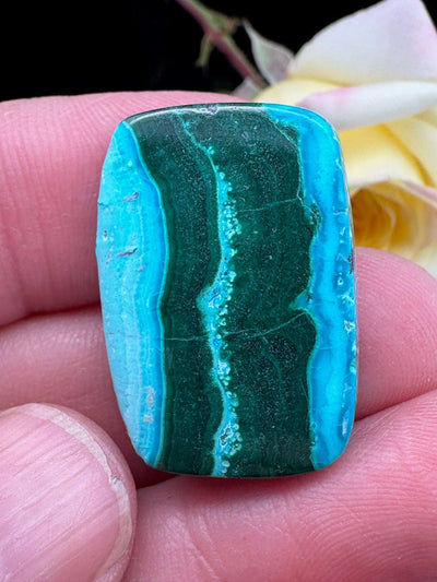 Malachite & Chrysocolla Cabochon