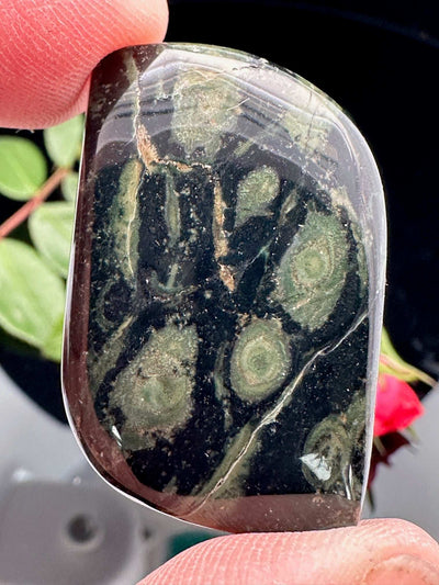 Free Form Kabamba Cabochon