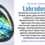 Labradorite Doggy - Carving