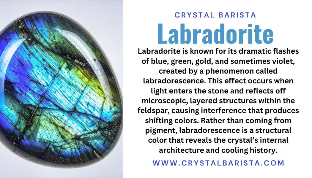 Labradorite Doggy - Carving