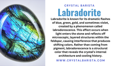 Labradorite Doggy - Carving