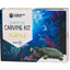 Turtle Soapstone Carving & Whittling—DIY Arts and Craft Kit. All Kid-Safe Tools and Materials Included. For kids and adults 8 to 99+ Years.