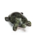 Turtle Soapstone Carving & Whittling—DIY Arts and Craft Kit. All Kid-Safe Tools and Materials Included. For kids and adults 8 to 99+ Years.