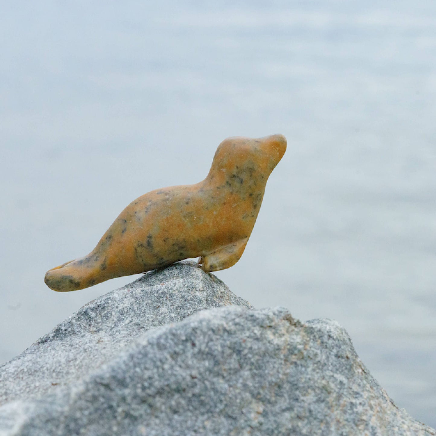 Seal Soapstone Carving and Whittling—DIY Arts and Craft Kit. All Kid-Safe Tools and Materials Included. For kids and adults 8 to 99+ Years.