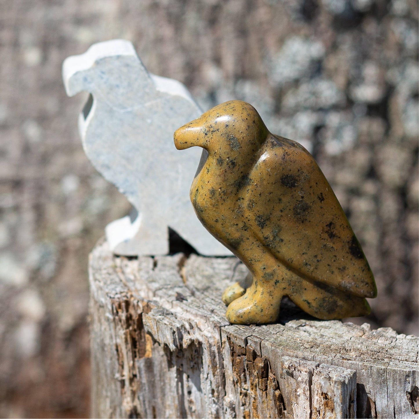 Eagle Soapstone Carving and Whittling—DIY Arts and Craft Kit. All Kid-Safe Tools and Materials Included. For kids and adults 8 to 99+ Years.