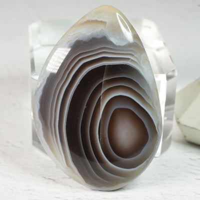Botswana Agate • Cabochon