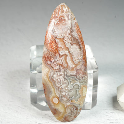 Crazy Lace Agate • Cabochon