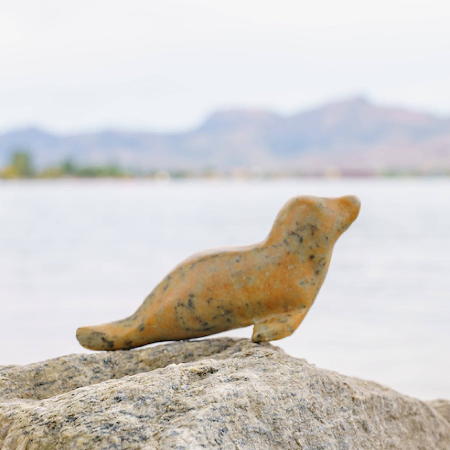 Seal Soapstone Carving and Whittling—DIY Arts and Craft Kit. All Kid-Safe Tools and Materials Included. For kids and adults 8 to 99+ Years.