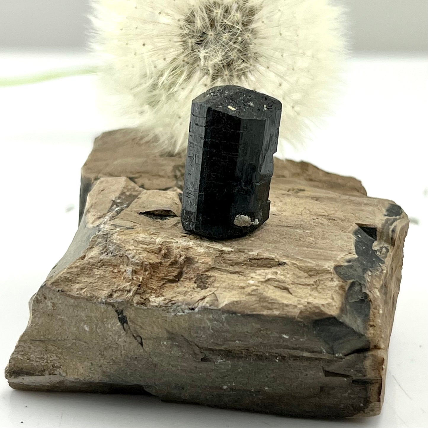 Etched Black Tourmaline Crystal - Mineral Specimen